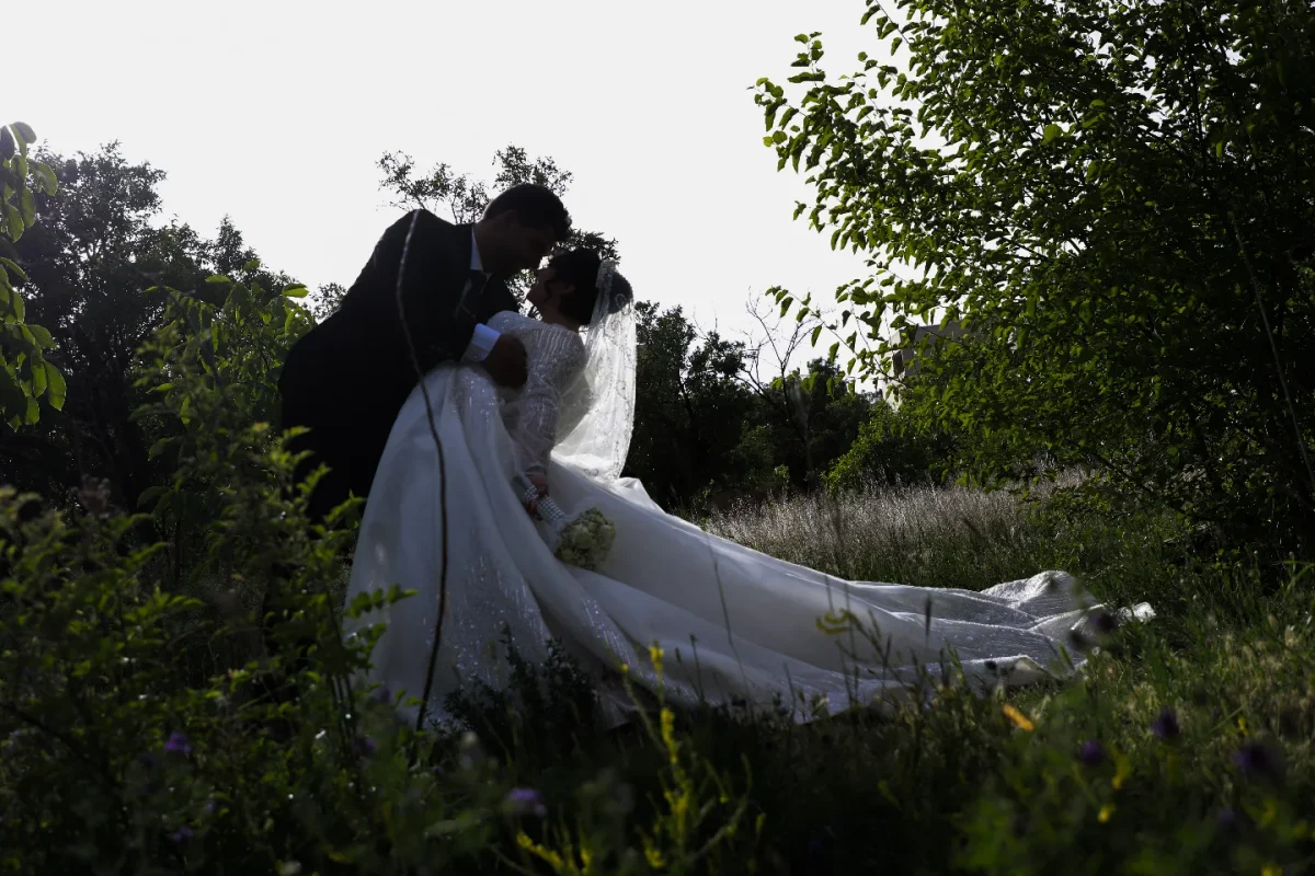 Darya Studio
